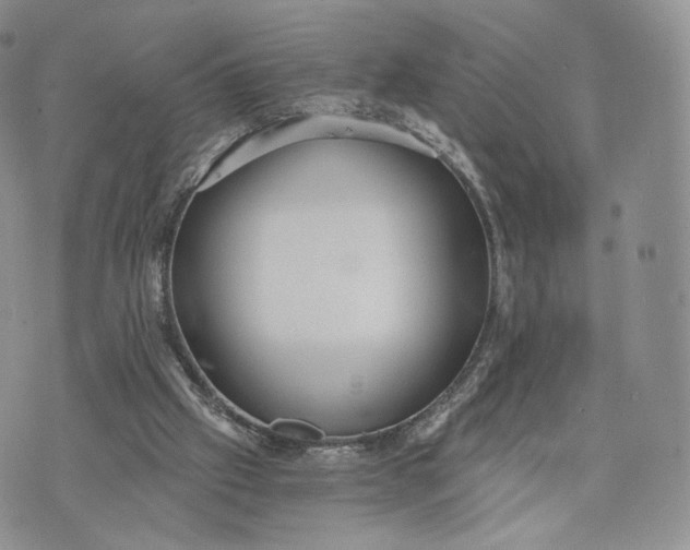 X0000072950057200608111636