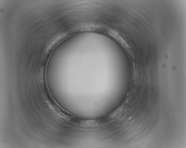 X0000072950058200608111636