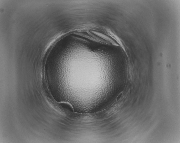 X0000072950059200608111636