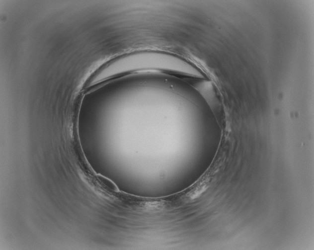 X0000072950060200608111636