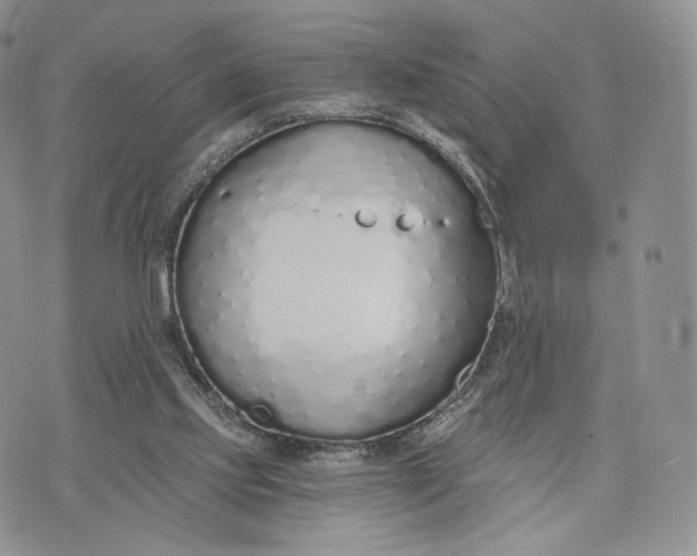 X0000072950061200608111636