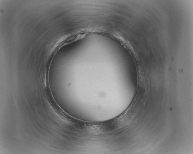 X0000072950062200608111636