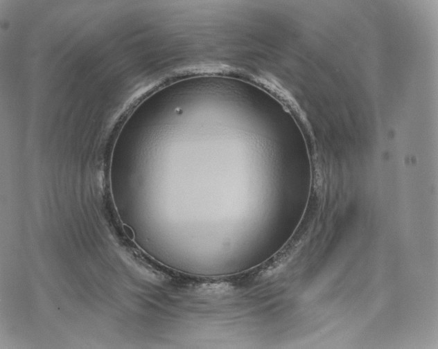 X0000072950063200608111636