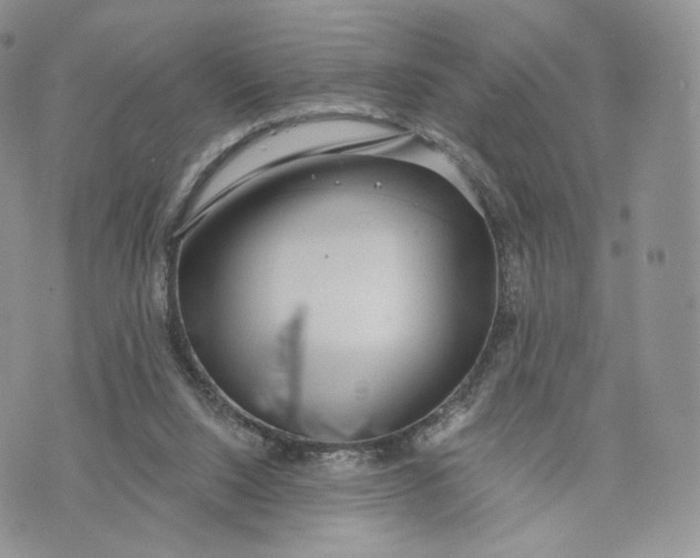 X0000072950064200608111636