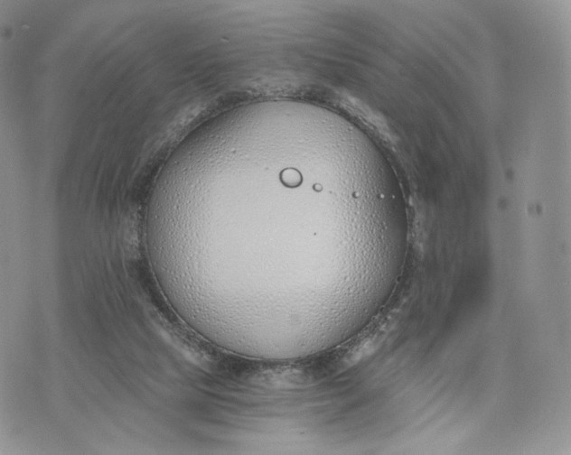 X0000072950065200608111636