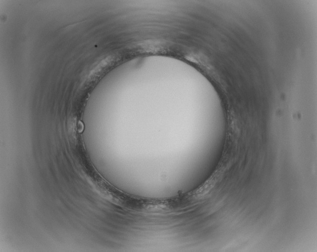 X0000072950066200608111636