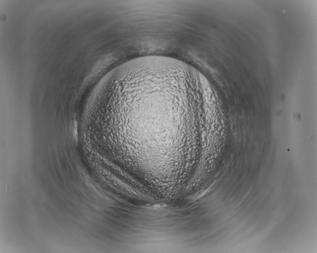 X0000072950067200608111636