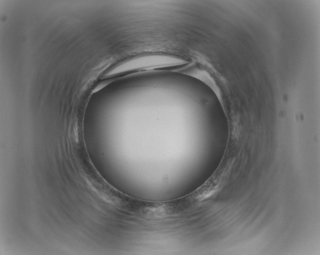 X0000072950068200608111636