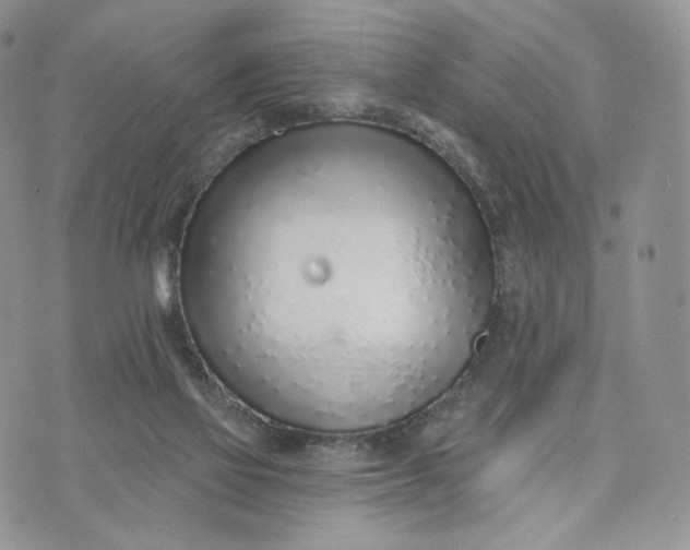 X0000072950069200608111636