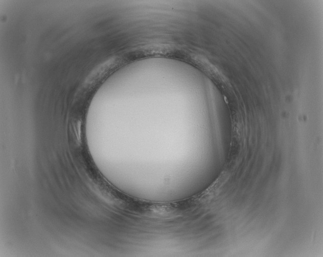 X0000072950070200608111636