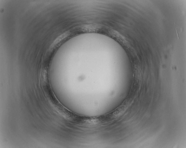 X0000072950071200608111636