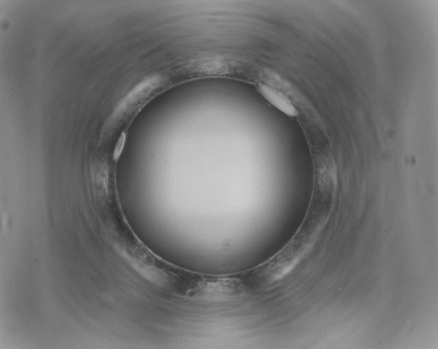 X0000072950072200608111636