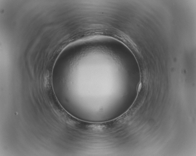 X0000072950073200608111636