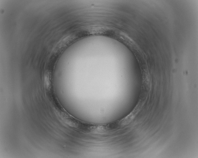 X0000072950074200608111636