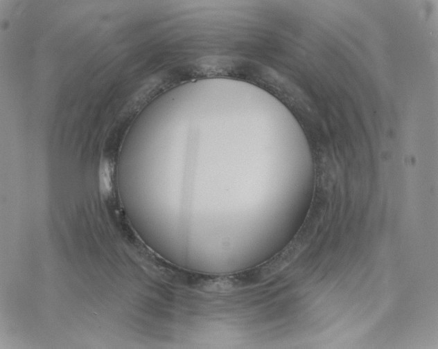 X0000072950075200608111636