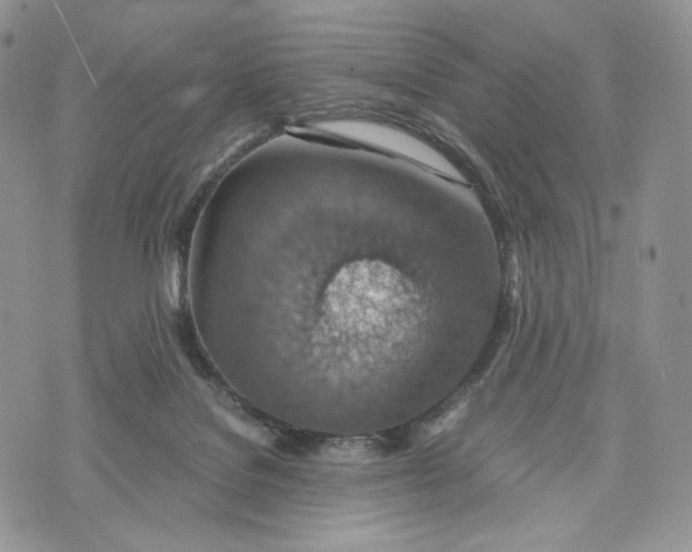 X0000072950076200608111636