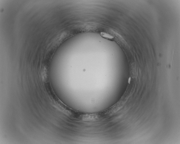 X0000072950077200608111636