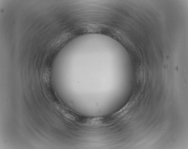 X0000072950078200608111636