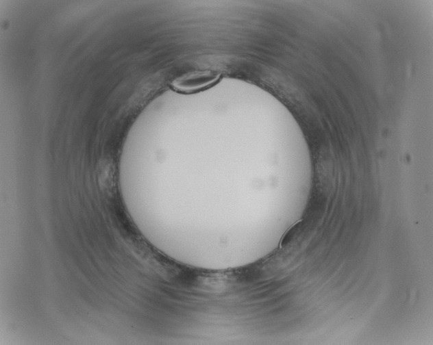 X0000072950079200608111636