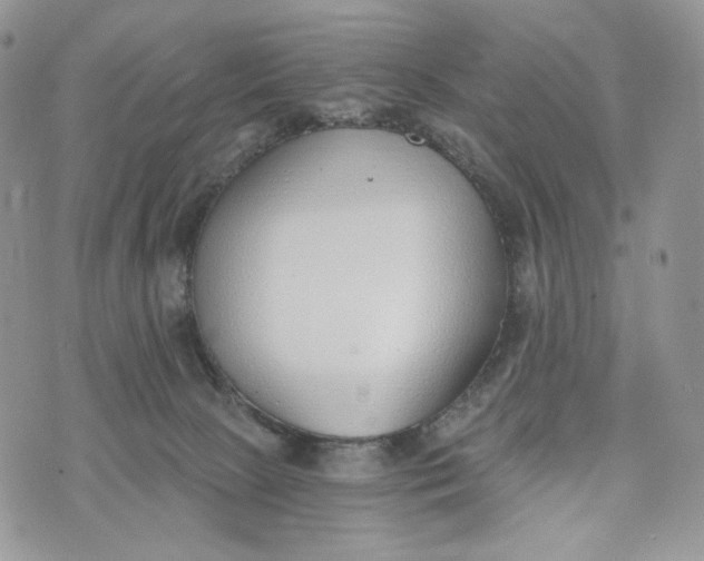 X0000072950081200608111636