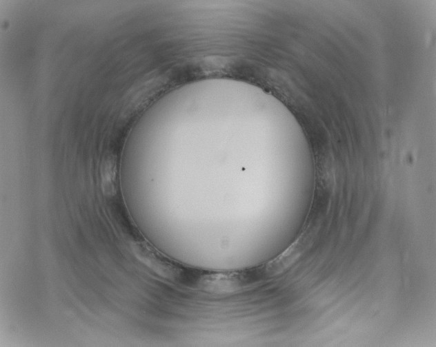 X0000072950082200608111636