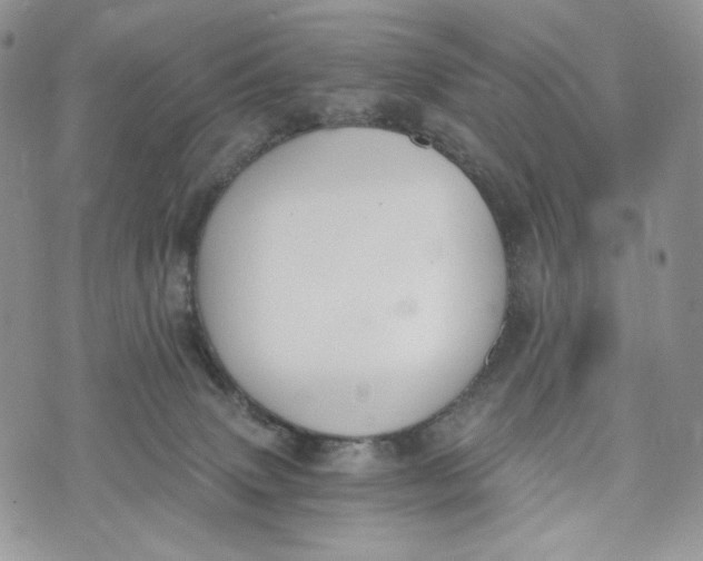 X0000072950083200608111636