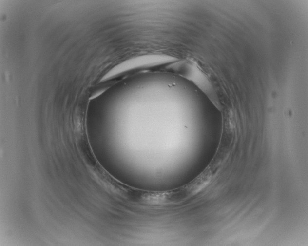 X0000072950084200608111636