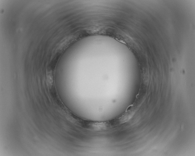 X0000072950085200608111636