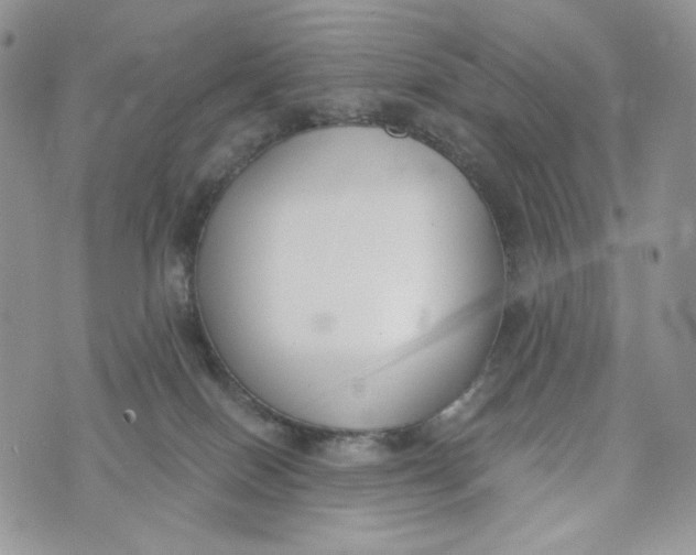 X0000072950086200608111636