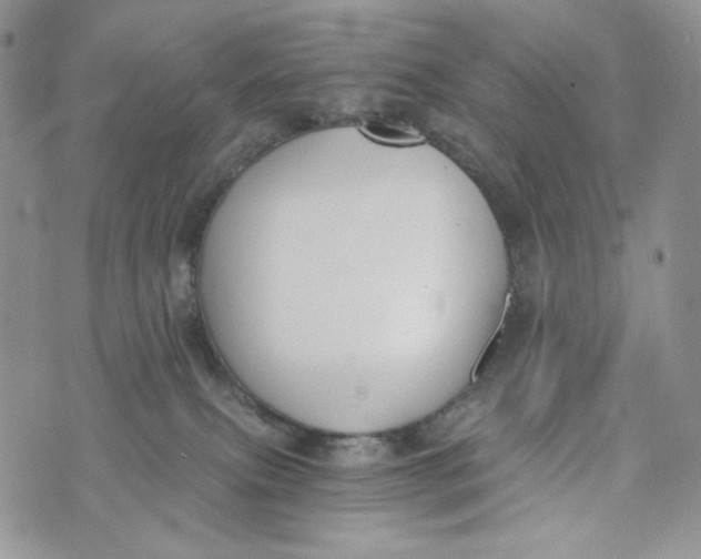 X0000072950087200608111636