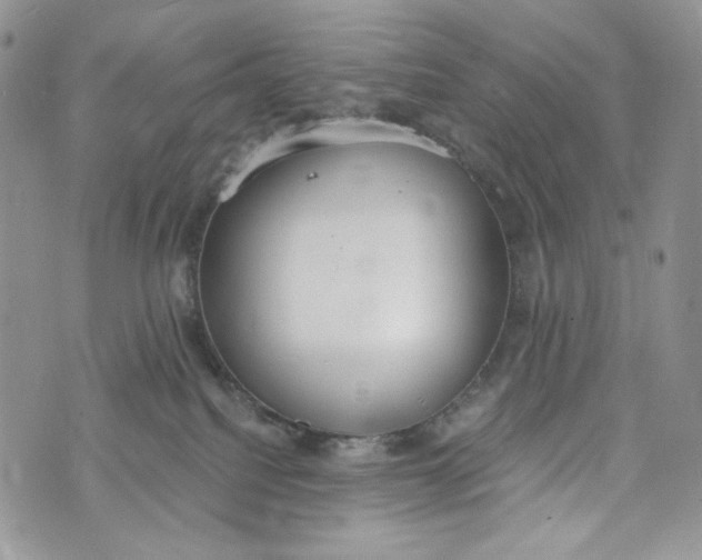 X0000072950088200608111636