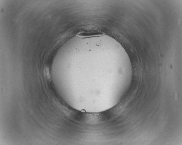 X0000072950089200608111636