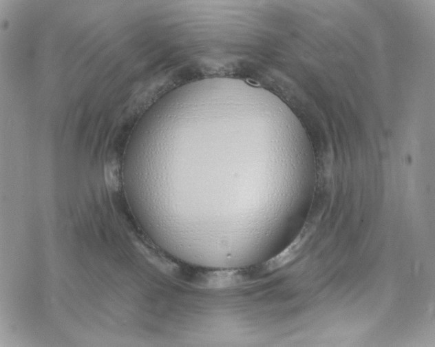 X0000072950090200608111636