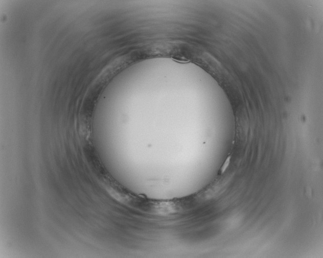 X0000072950091200608111637