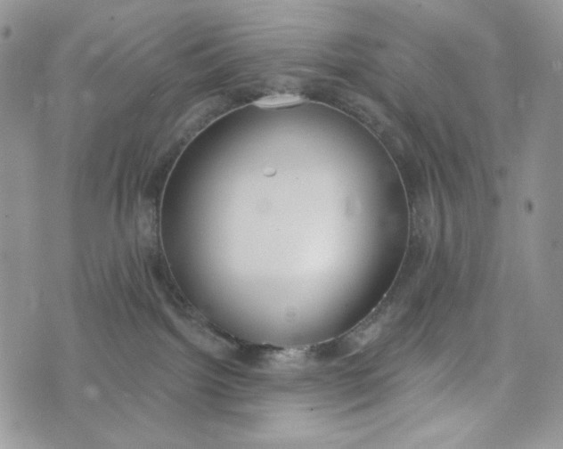 X0000072950092200608111637