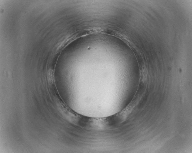 X0000072950093200608111637