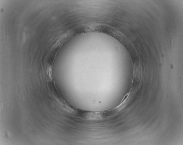 X0000072950094200608111637