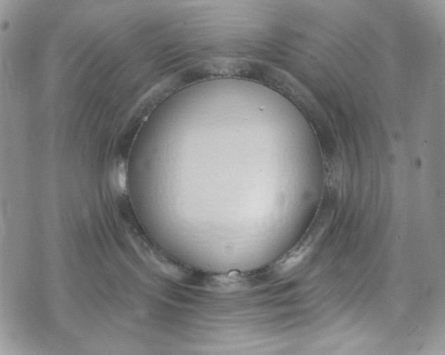 X0000072950095200608111637