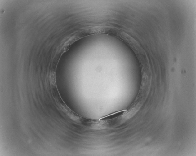 X0000072950096200608111637