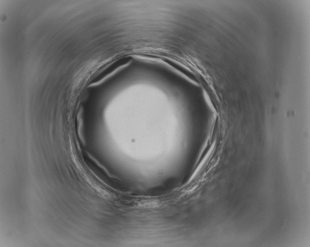 X0000072950097200608111636