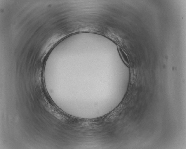 X0000072950098200608111636