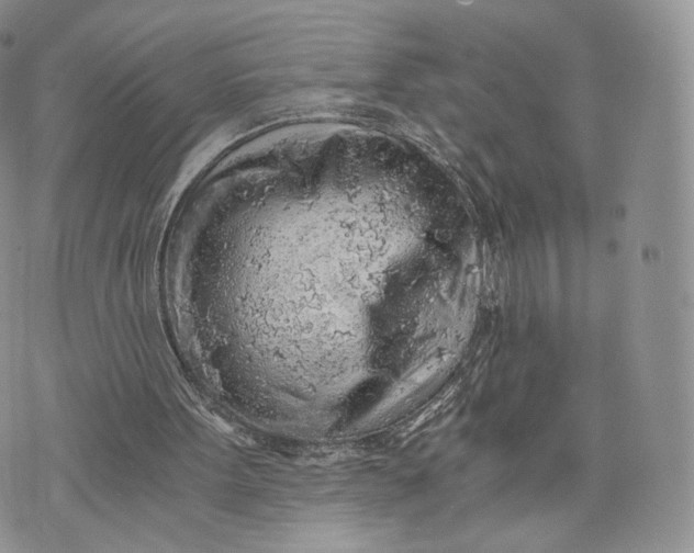 X0000072950099200608111636