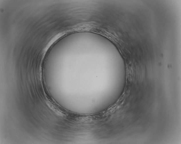 X0000072950100200608111636