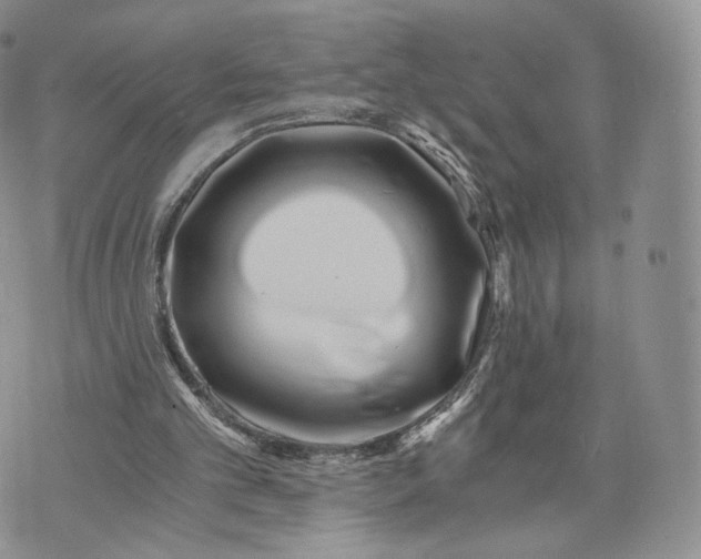 X0000072950101200608111636