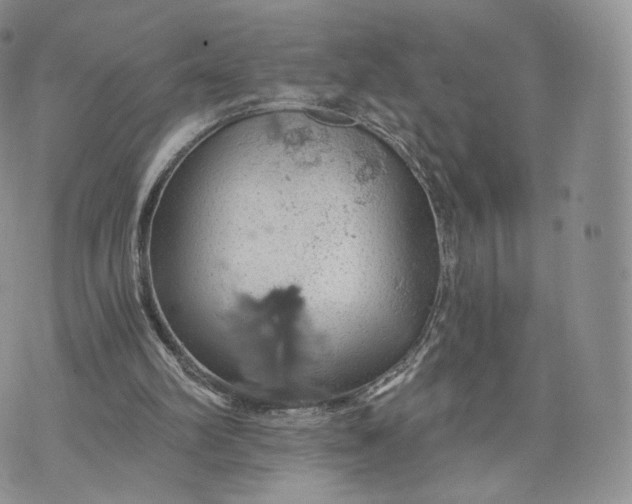 X0000072950102200608111636