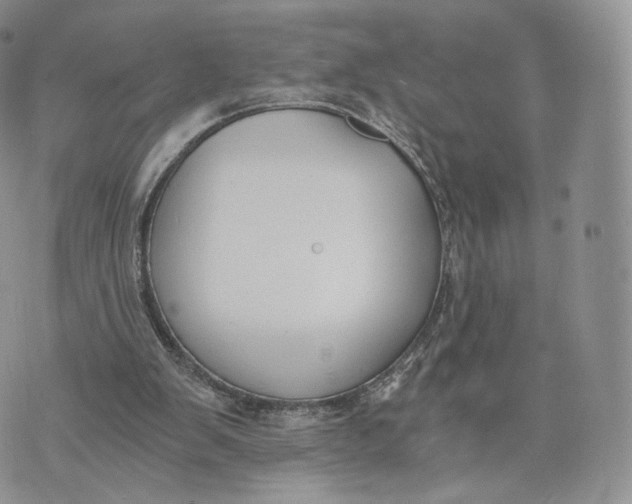 X0000072950103200608111636