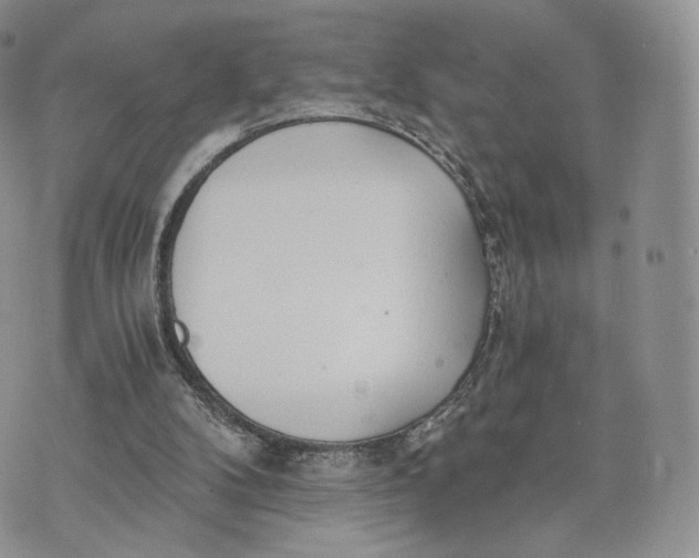 X0000072950104200608111636