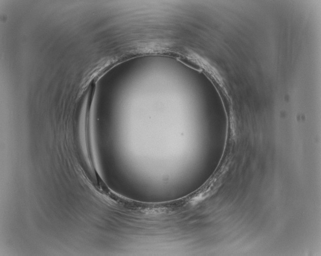 X0000072950105200608111636