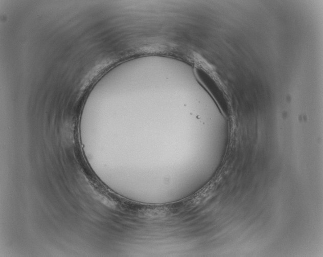 X0000072950106200608111636