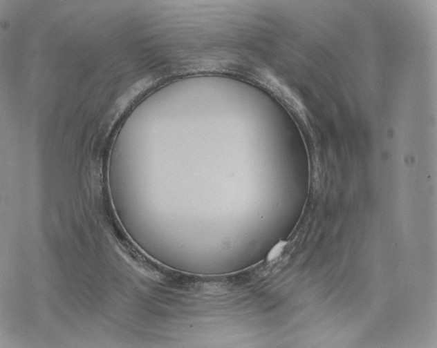 X0000072950107200608111636